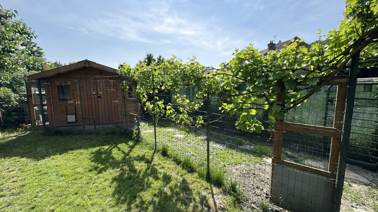 Image_, Maison, Villeneuve-d'Ascq, ref :1985