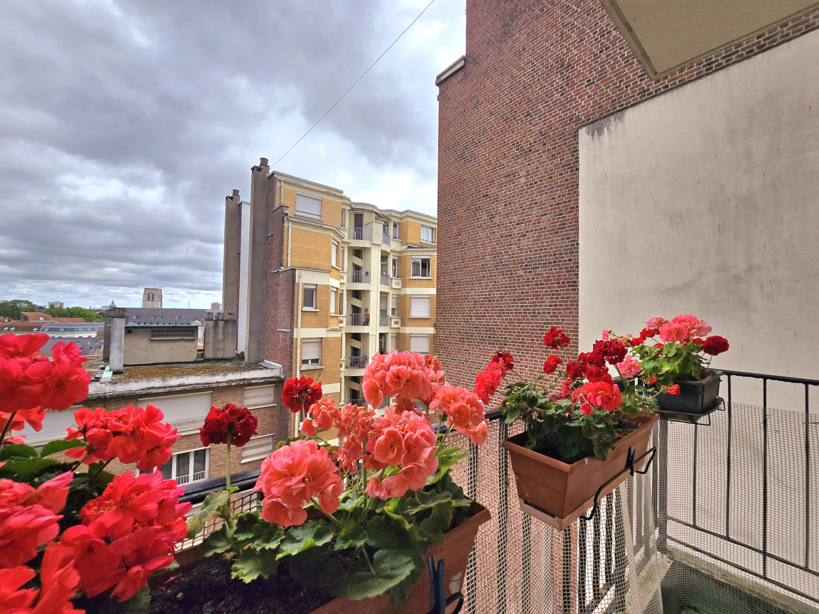 Image_, Appartement, Lille, ref :9134