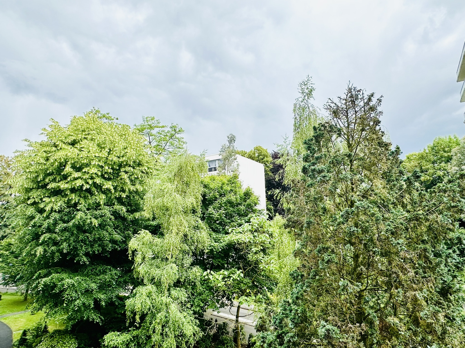 Image_, Studio, Lambersart, ref :60 350