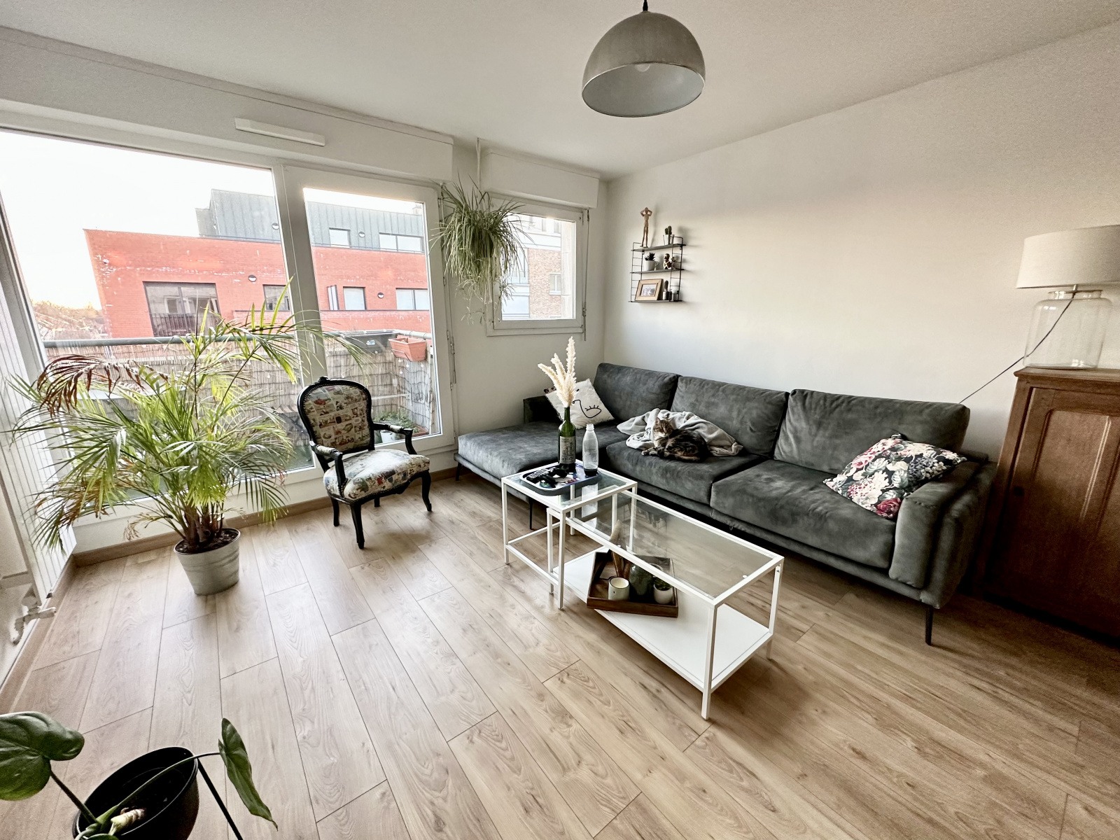 Image_, Appartement, Lille, ref :1570