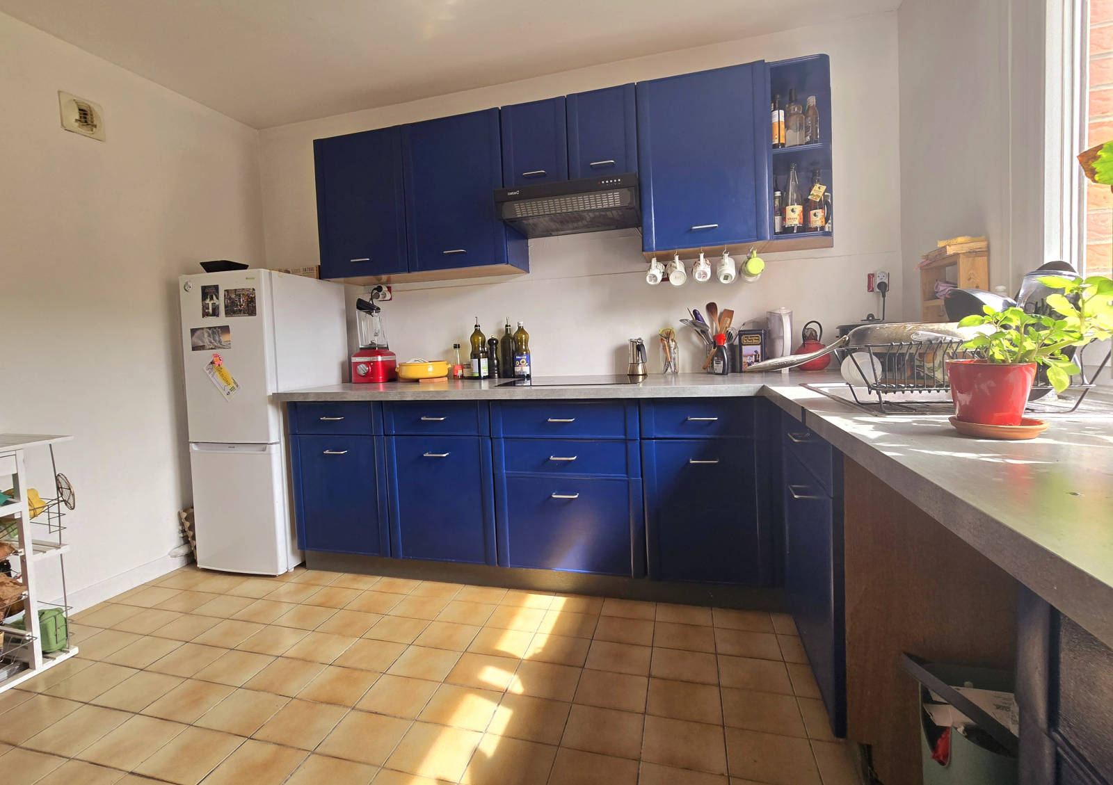 Image_, Appartement, Lille, ref :1970