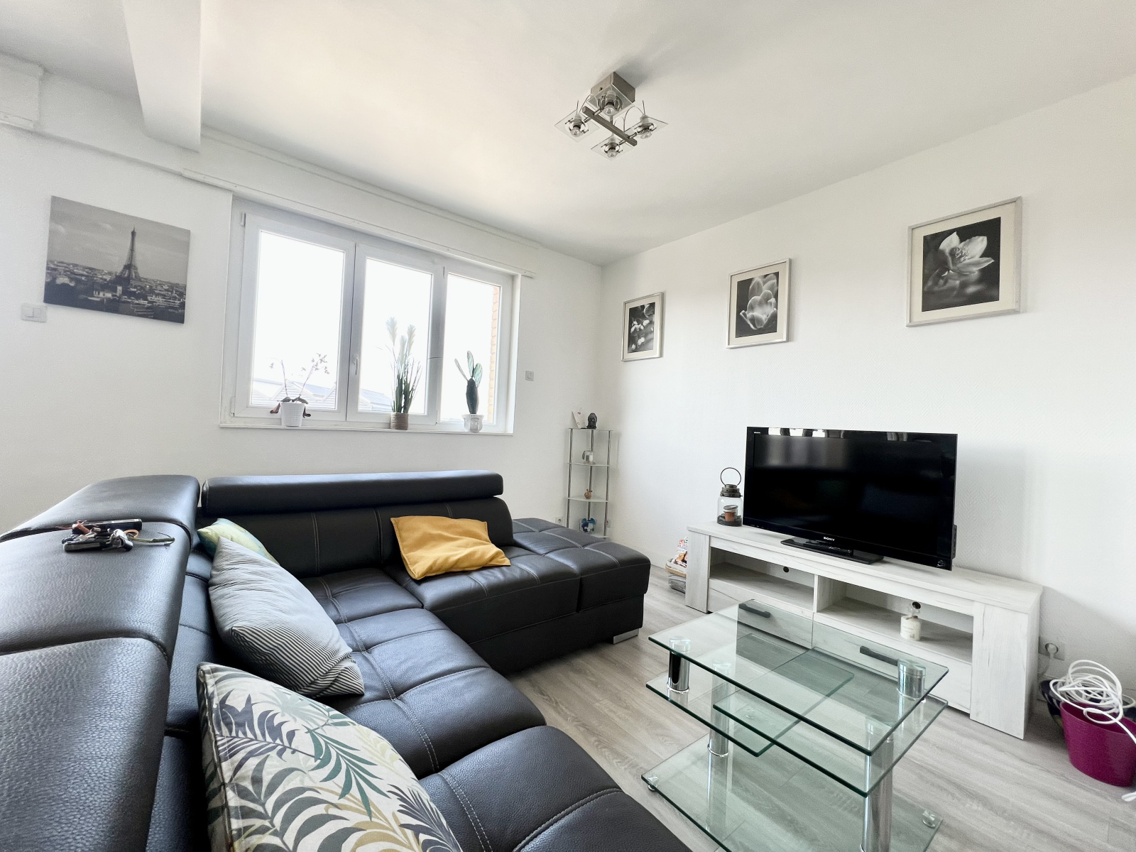 Image_, Appartement, Tourcoing, ref :1655
