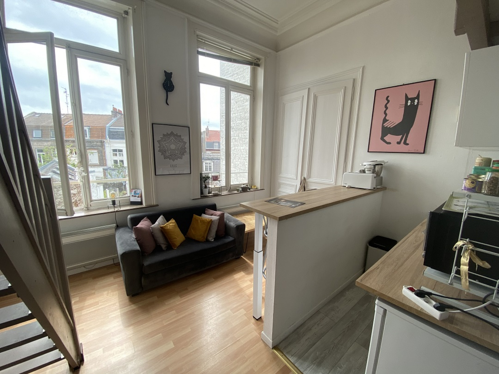 Image_, Appartement, Lille, ref :1065