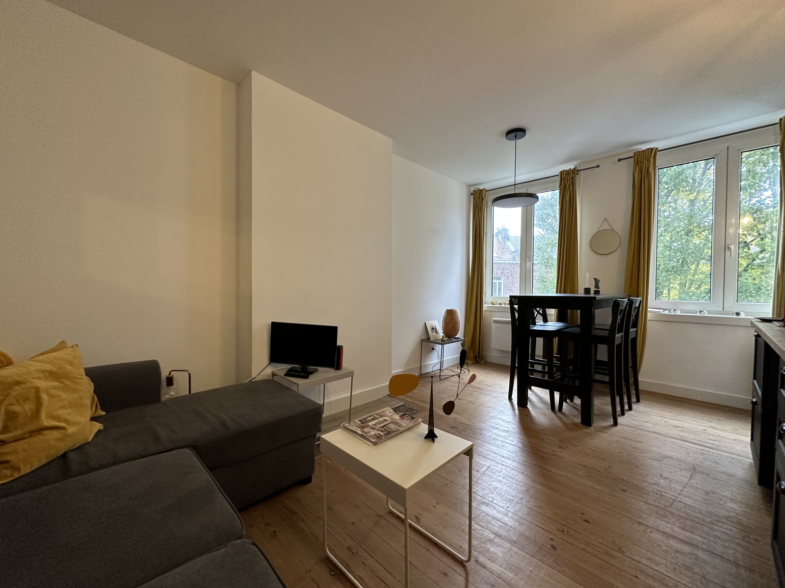 Image_, Appartement, Lille, ref :1698