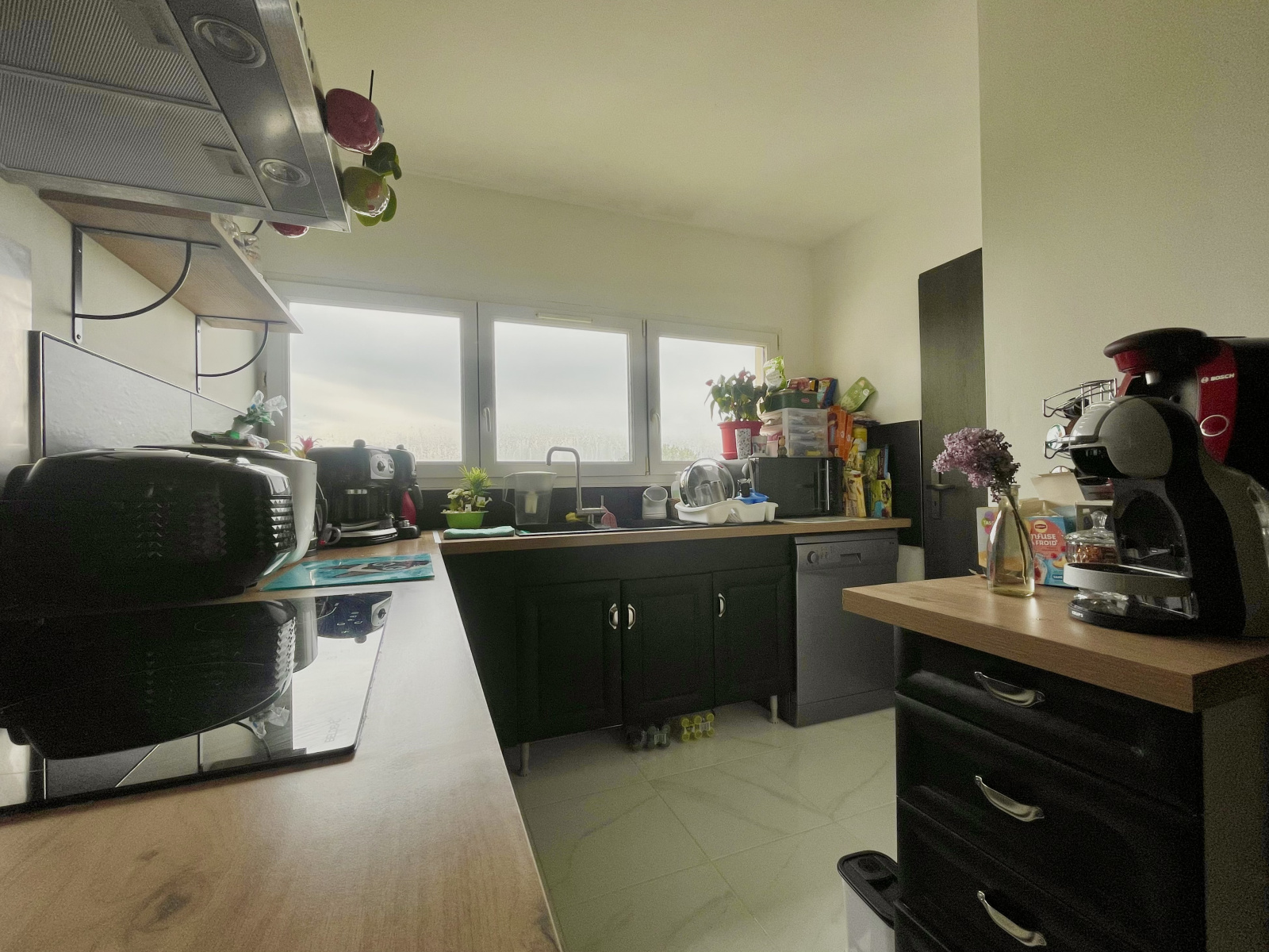 Image_, Appartement, Villeneuve-d'Ascq, ref :1574