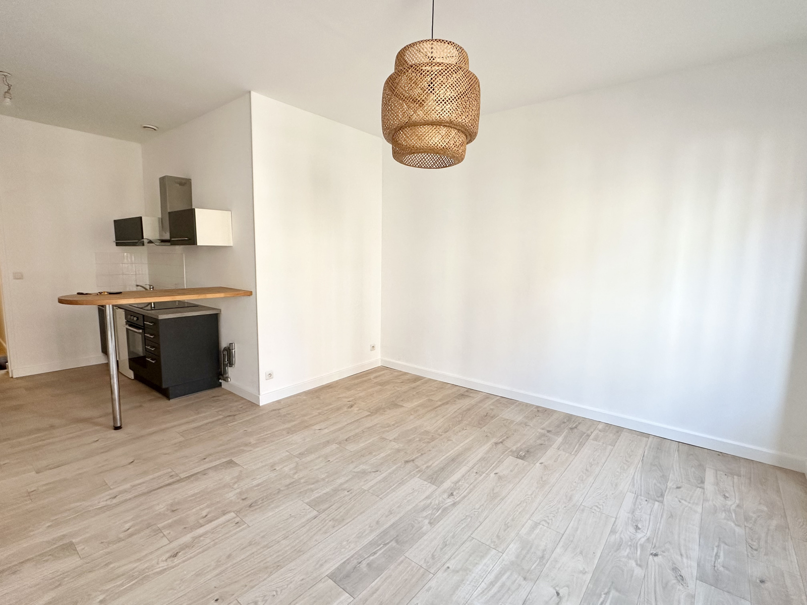 Image_, Appartement, Lille, ref :1554